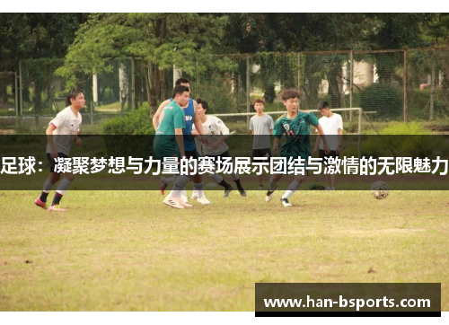 足球：凝聚梦想与力量的赛场展示团结与激情的无限魅力