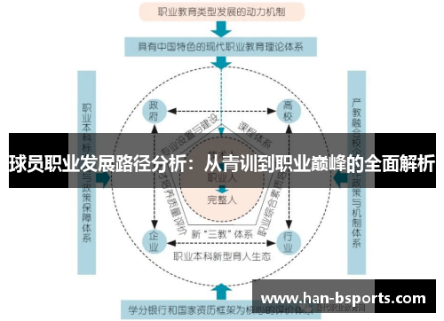 球员职业发展路径分析：从青训到职业巅峰的全面解析